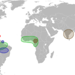 Cacao_species_-_World_distribution_map_-blank.svg