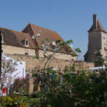 Plantes rares La Ferté-55