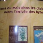 IMG_20180704_152817_GF