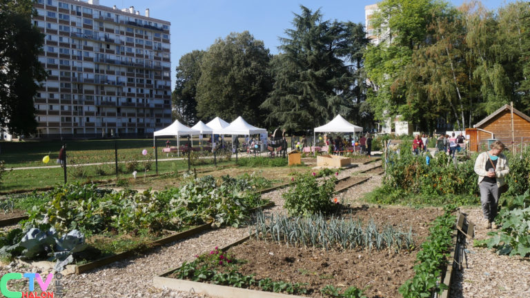 Aux Aubépins, le bonheur est dans le potager…!