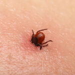 Communiqué : Dépôt de plainte France Lyme contre SPILF