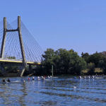 Challenge CAC 2019-D (41)_DxO