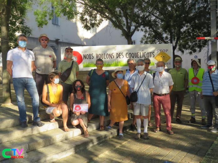 coquelicots août 20 (2)_GF