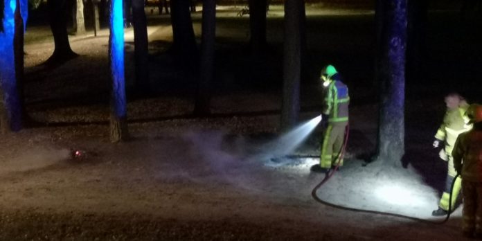 Feux parc des Aubépins (5)