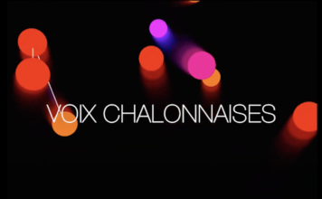 Voix Chalonnaises (série d’appel à témoins) : Gwénaël, asexuel.