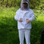 abeille-7