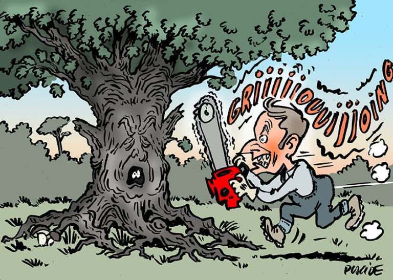Macron accuse Mélenchon de vouloir interdire de couper les arbres