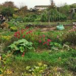 La bêche de St-Jean