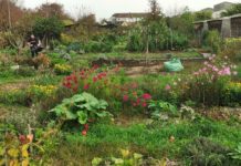 La bêche de St-Jean