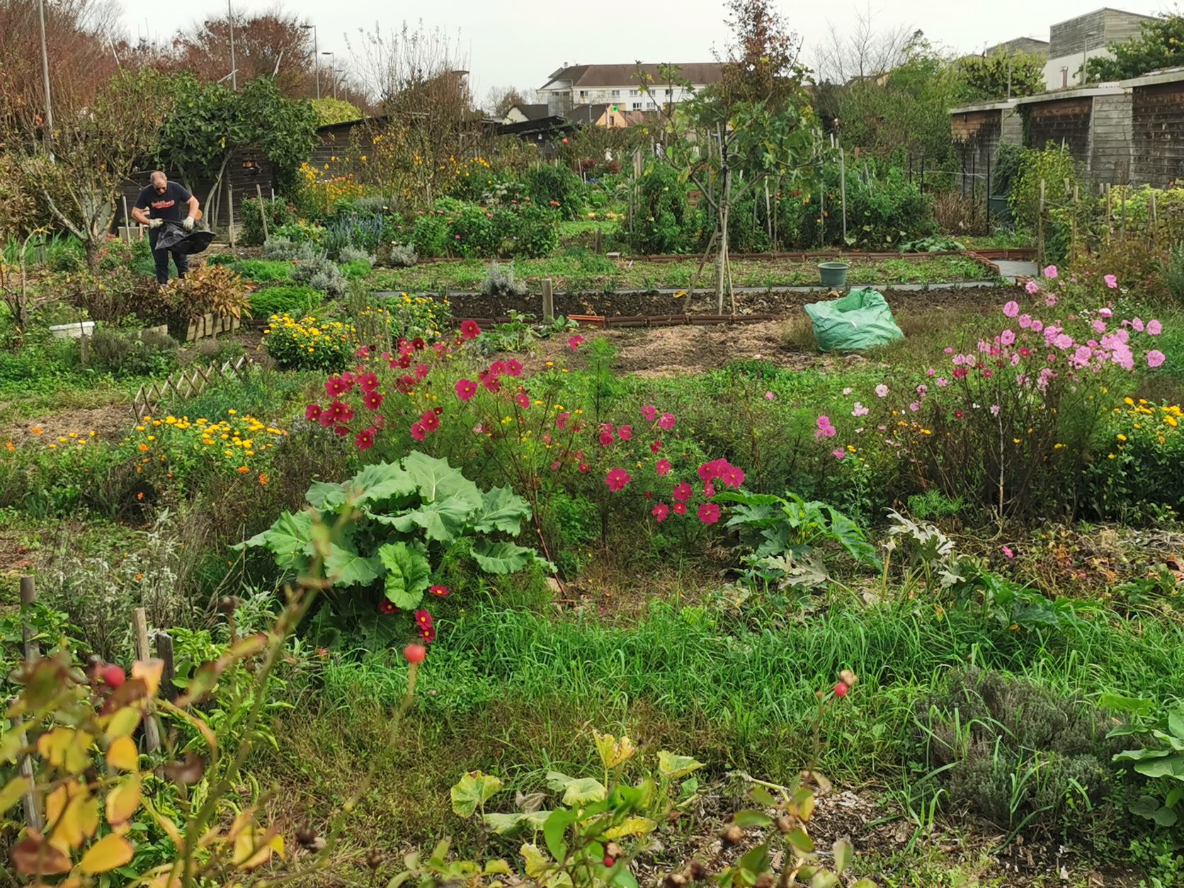 La bêche de St-Jean